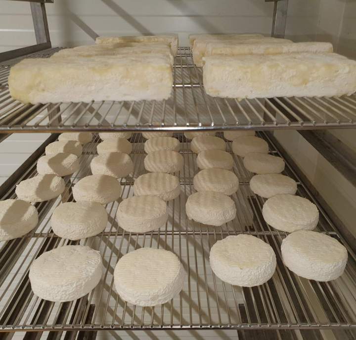 Fromages, yaourts et glaces au lait de chèvre