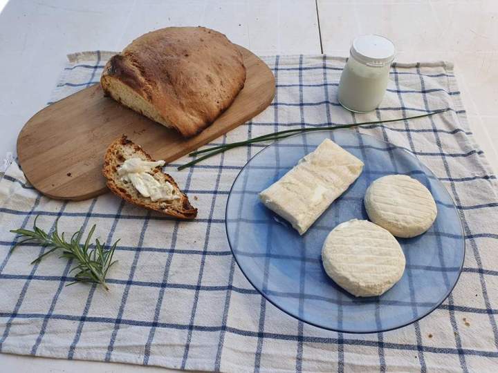 480663273 1139039084682965 6921517279194392689 n