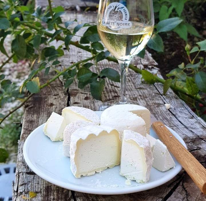 Production caprine locale Échenevex