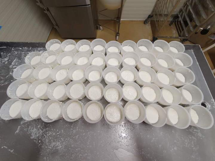 485410742 9338788466156127 7335162104752632764 n