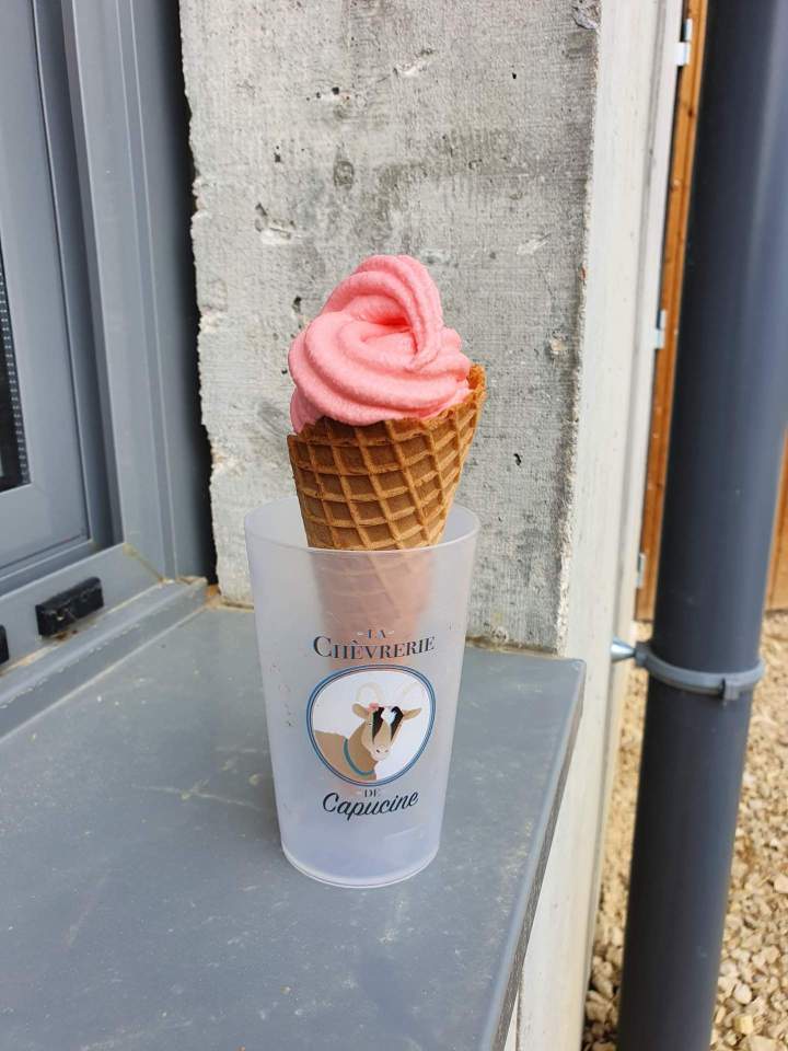 486253559 9356854877682819 2680478537153557751 n