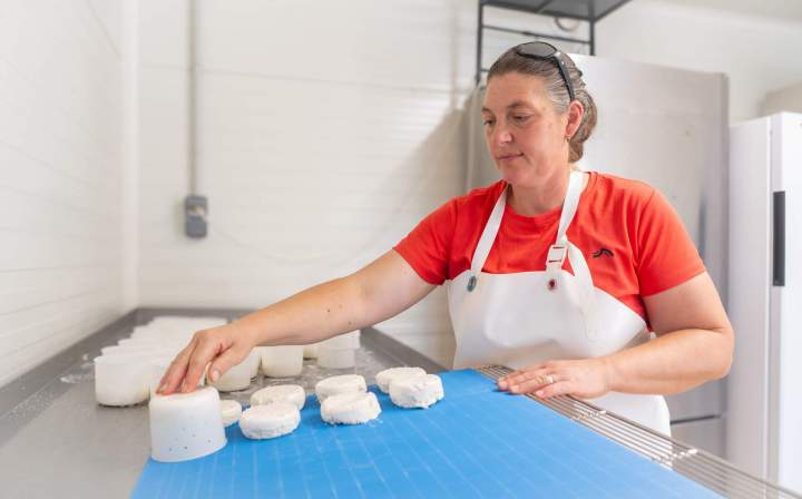 Vente de fromage de chèvre Échenevex