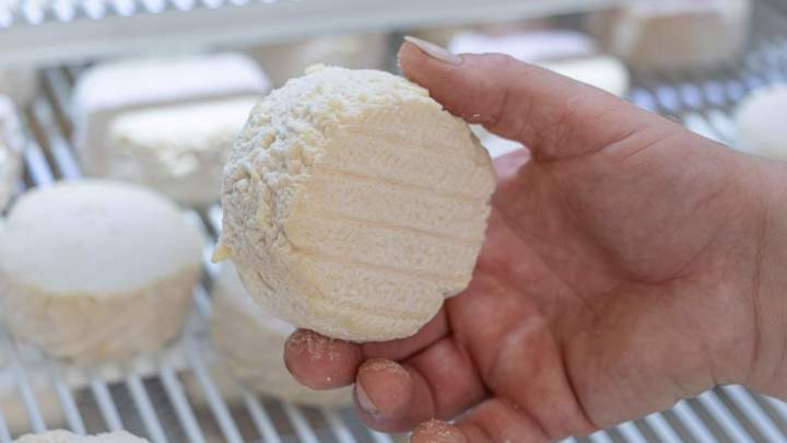 Vente de fromage de chèvre à Échenevex