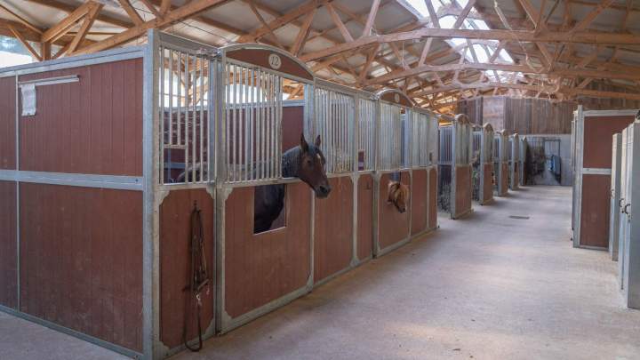 Pension pour chevaux - Échenevex