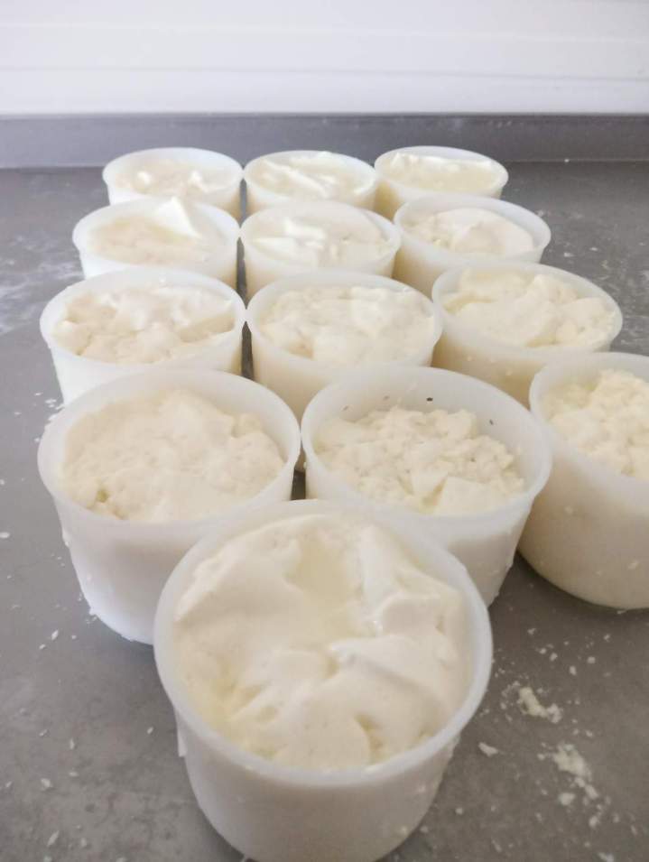 Dégustation et vente de fromage de chèvre Échenevex