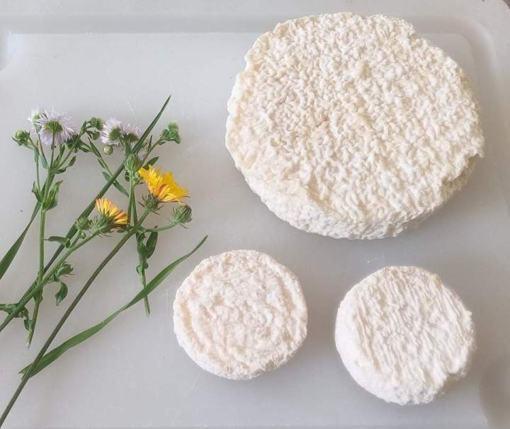 Fromages de chèvre fermiers et spécialités artisanales