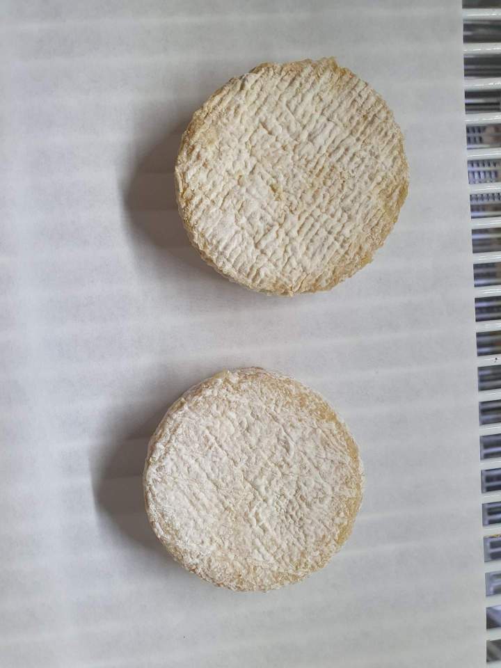 Fabrication locale de fromage de chèvre Échenevex