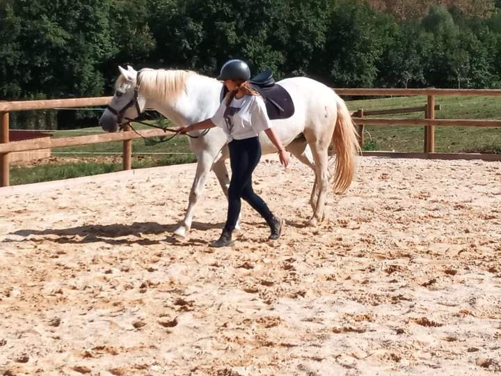 Pension et cadre de vie pour chevaux