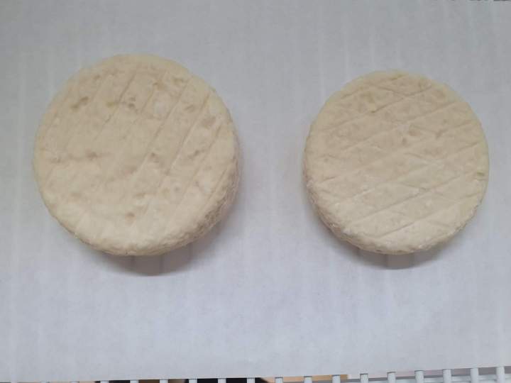 Production artisanale de fromage de chèvre Échenevex