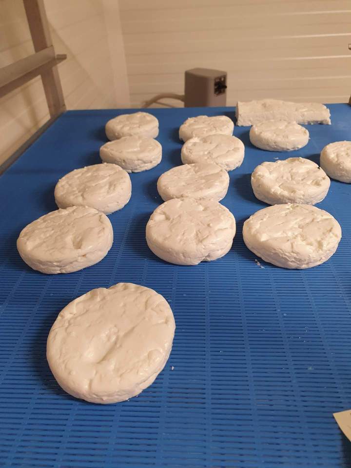 Spécialité caprine en vente directe Échenevex